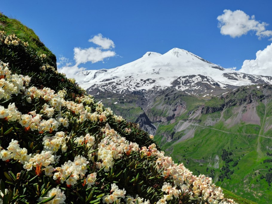 Природа панорама горы Кавказ Дзинага