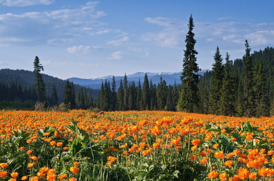 Краснодарский край Анапа черное море