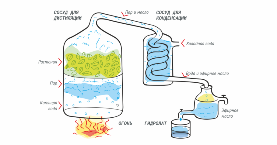 Методы производства эфирных масел дистилляция