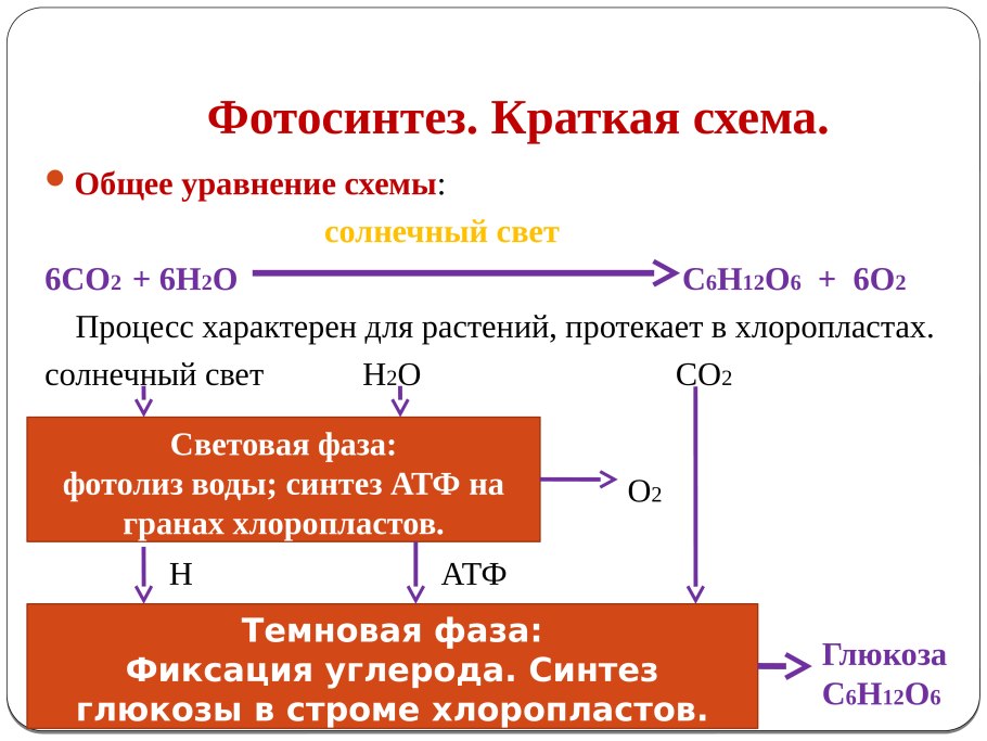 Световая фаза АТФ о2