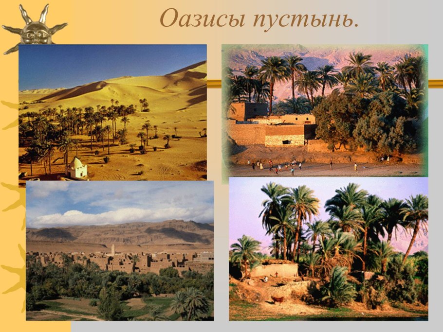Природные зоны Африки Оазис