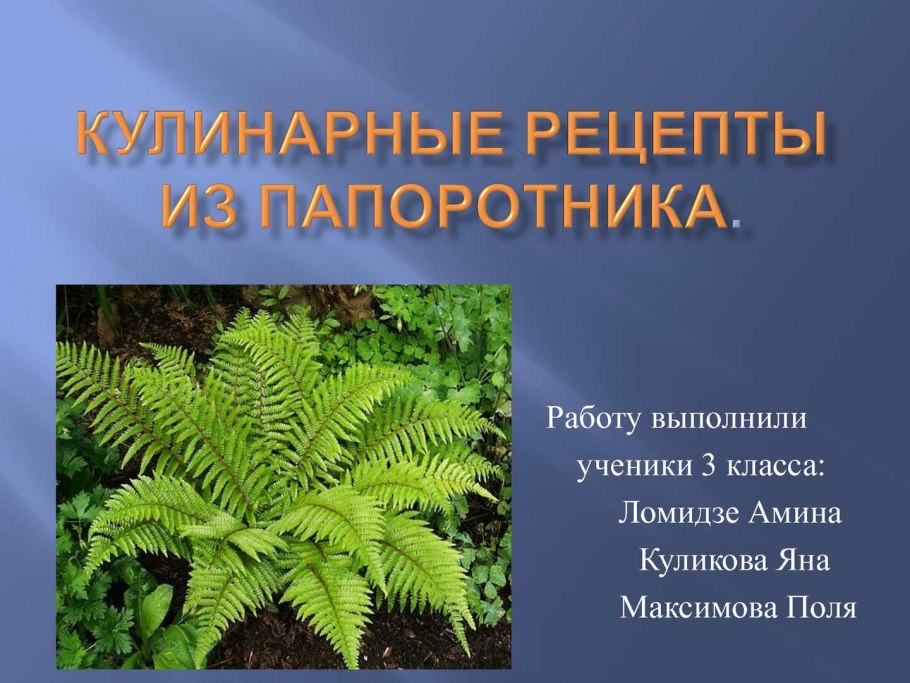 Цикл развития папоротника полиподиума