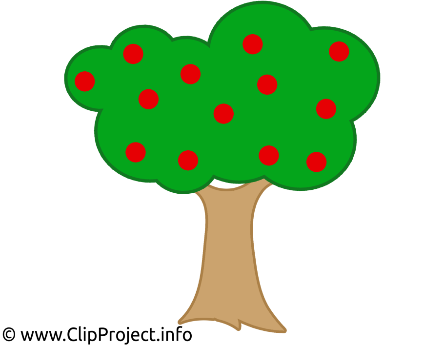 Яблоня дикарка