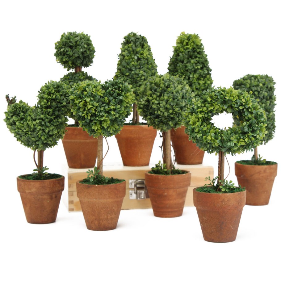 Пампасная трава зимой