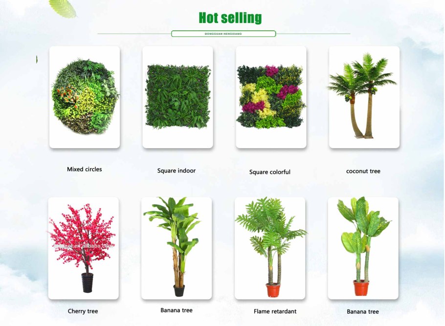 Растение houseplants d8 h35