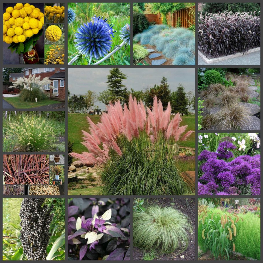 Хелен парк+ ландшафт