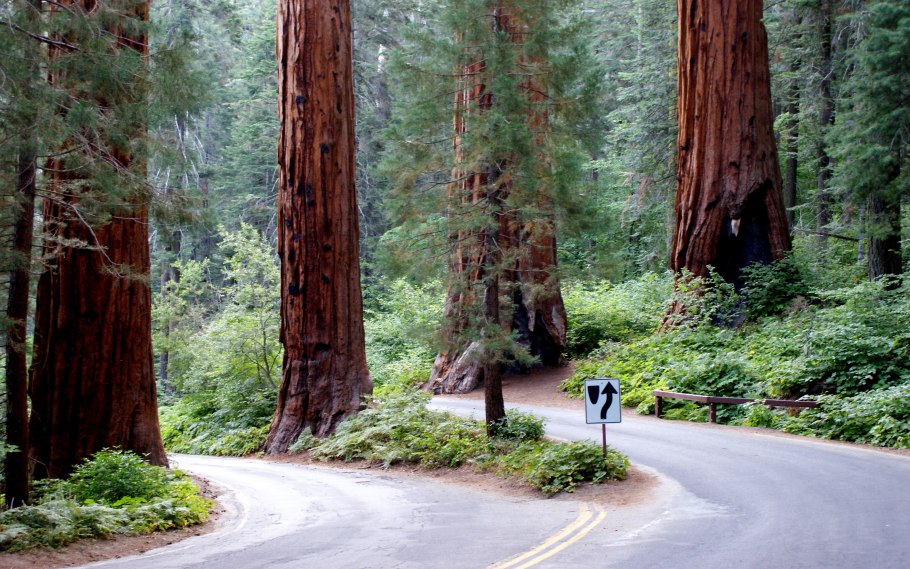 Парк Секвойя Калифорния
