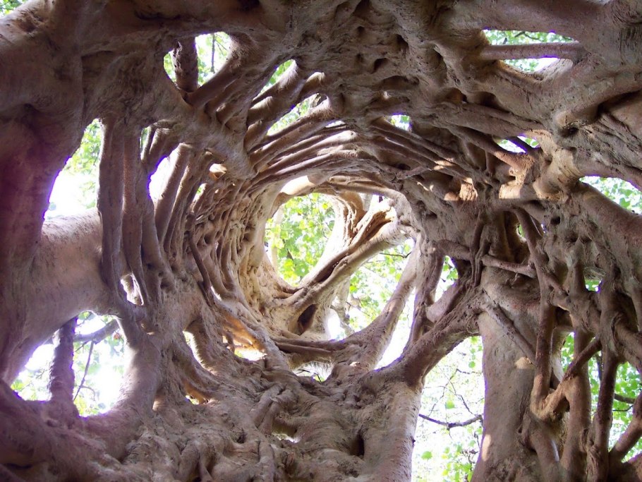 Лианы душители