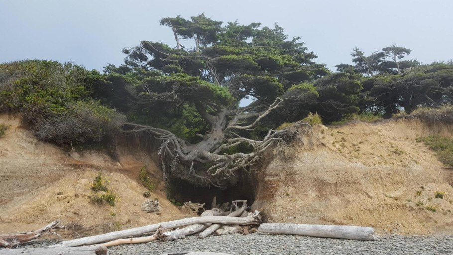 Дерево общения