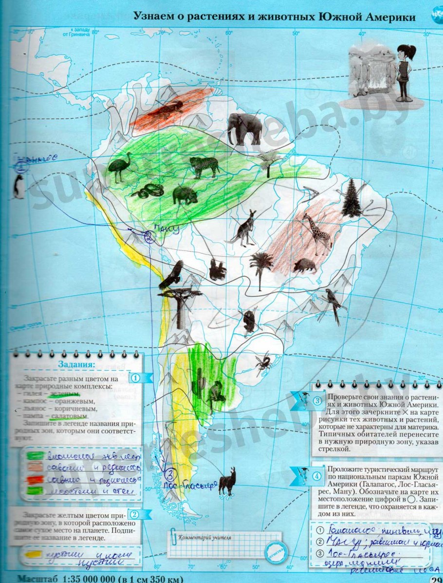 Тропические гигрофиты Индии