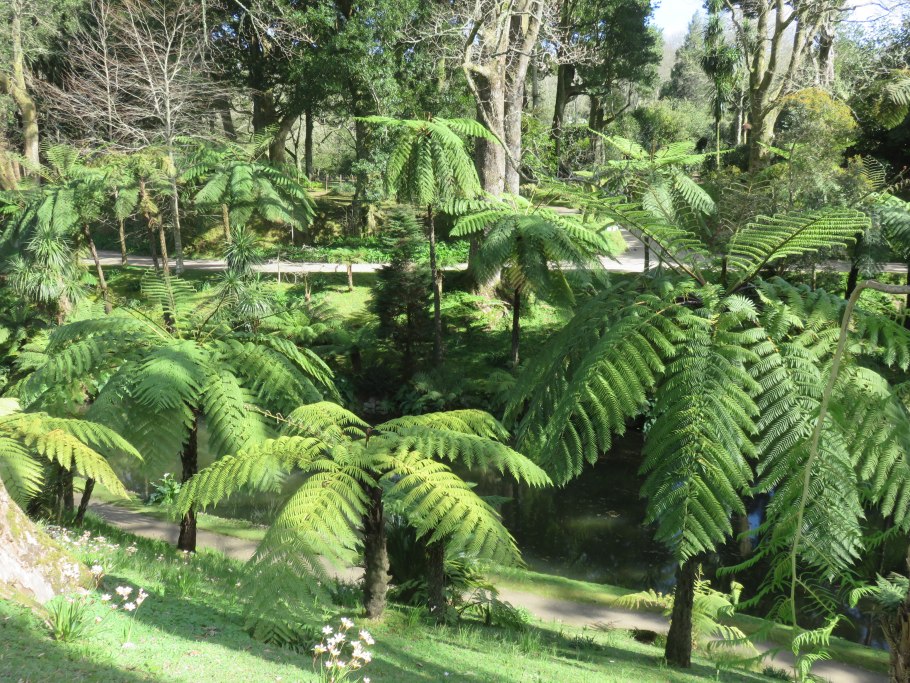 Атлантический лес Бразилии