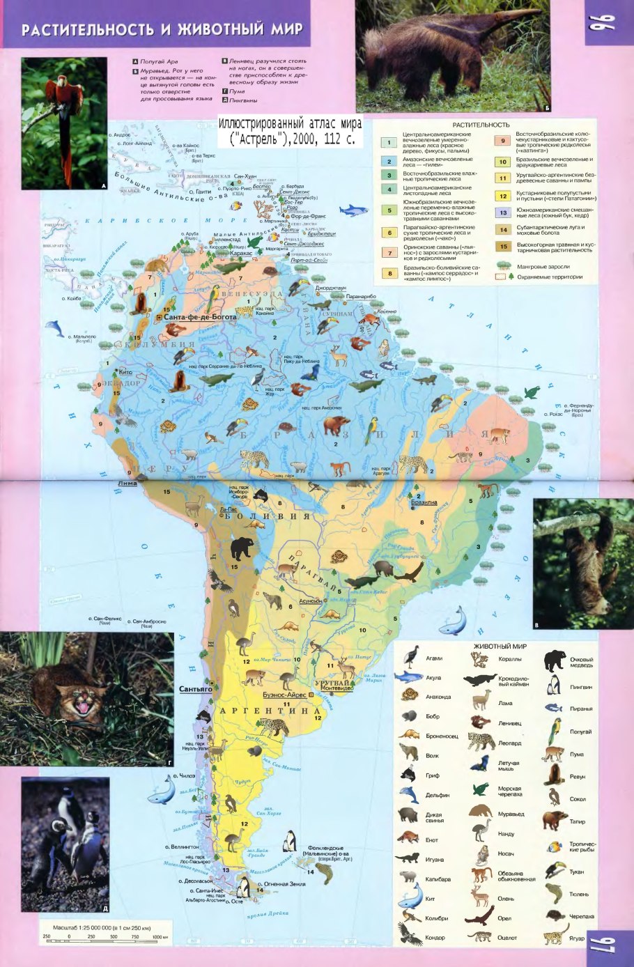 Растения и животные природных зон