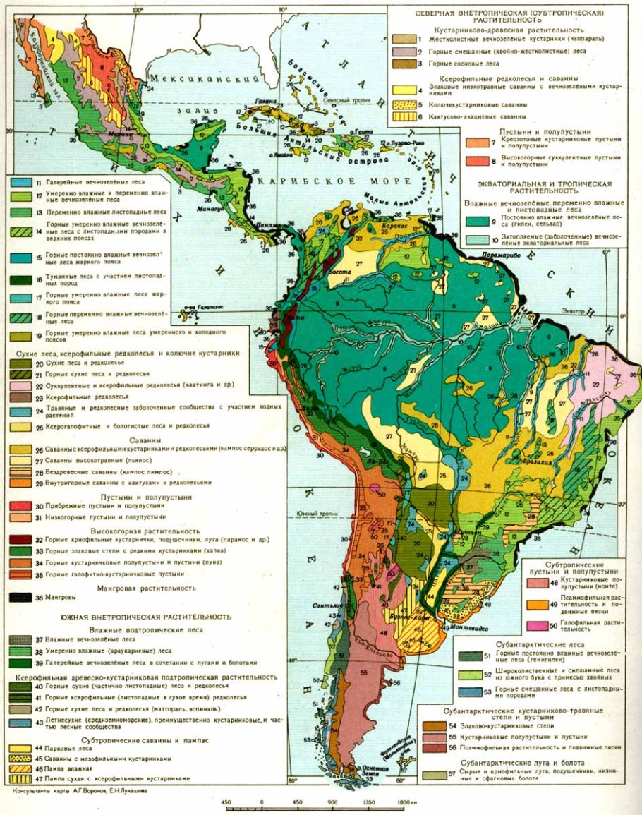 Карта природных зон Южной Америки