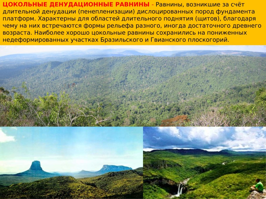 Флора все виды