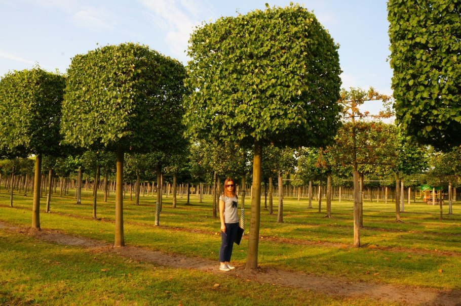 Граб Пендула