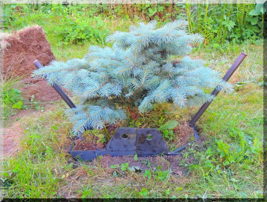 Пересадчик деревьев Спутник