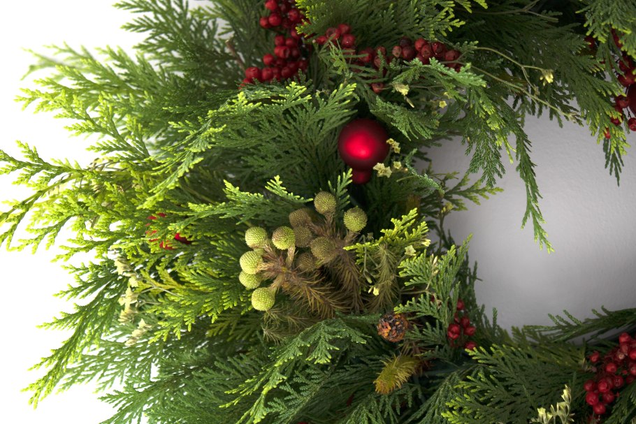 Ель Коника в ландшафте