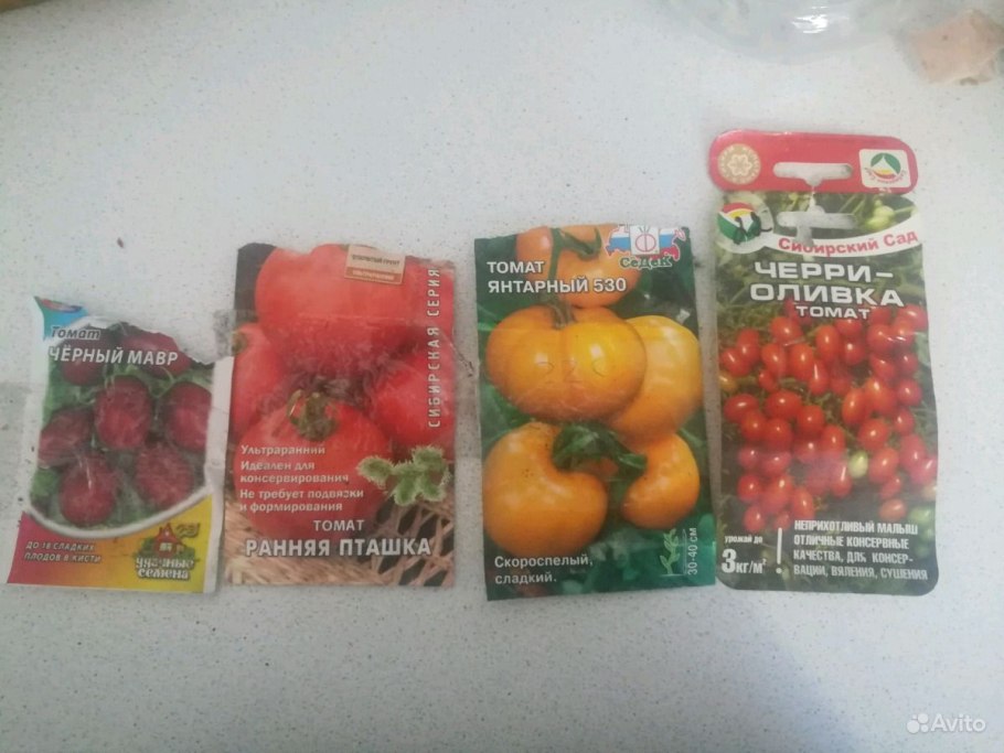 Семена томат ранняя пташка