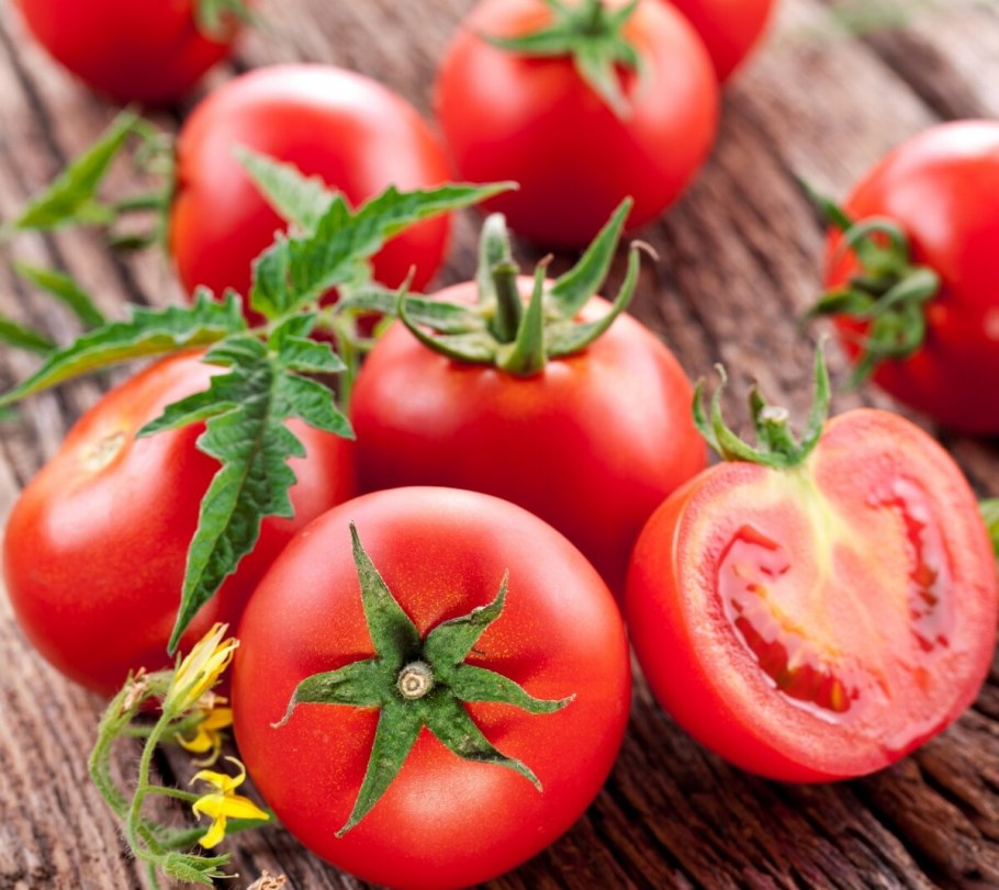 Сорт томатов Малиновка