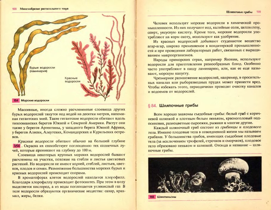 Книга ботаника водоросли