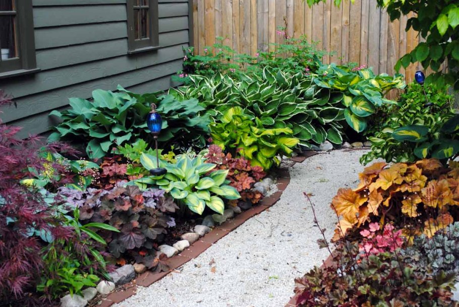 Хосты гейхеры седум