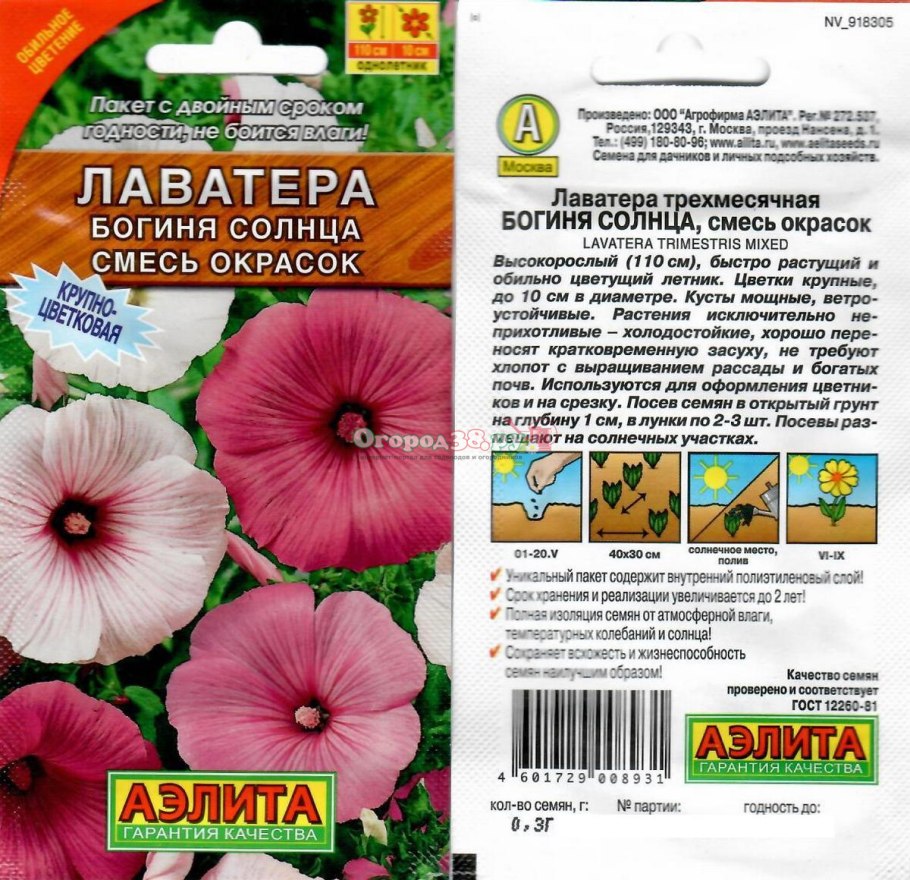 Лаватера Садовая роза