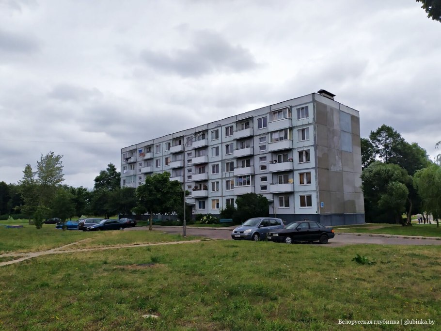 Кедр Сибирский питомник