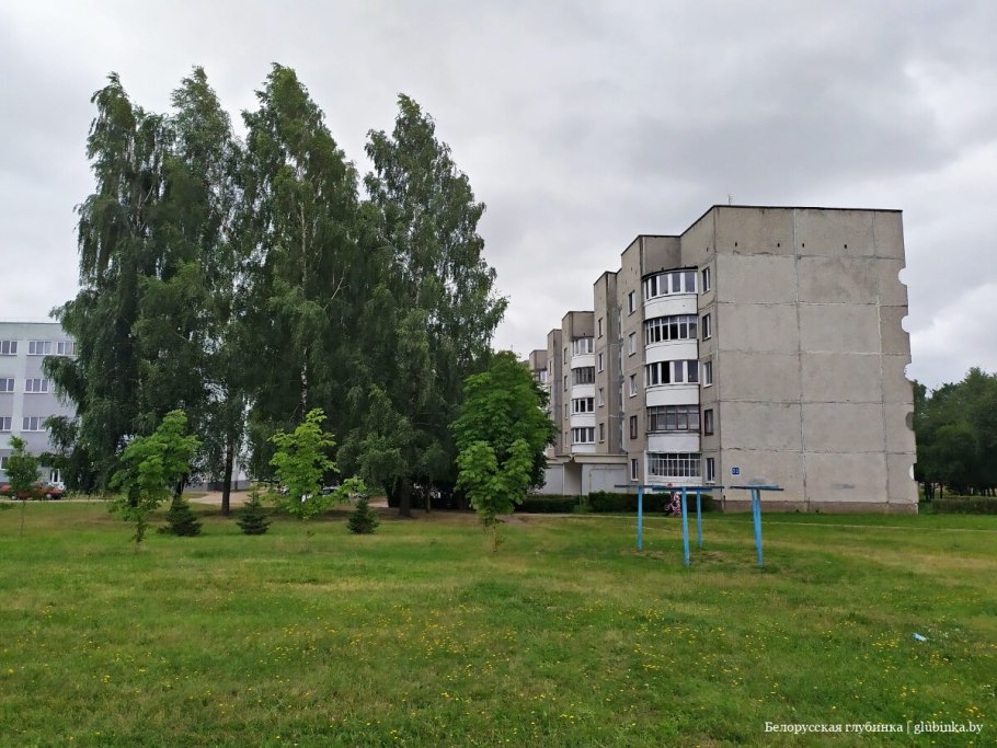 Елочный базар Красноярск