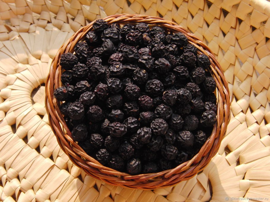 Тернослив «Теньковская синяя»