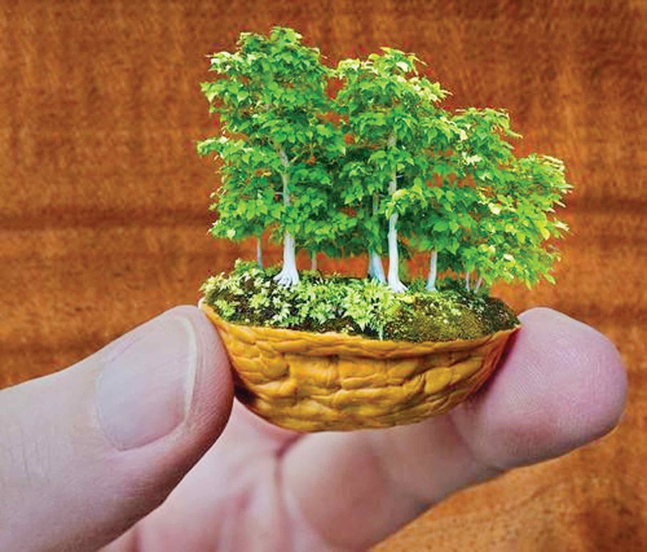 Карликовые яблони бонсай