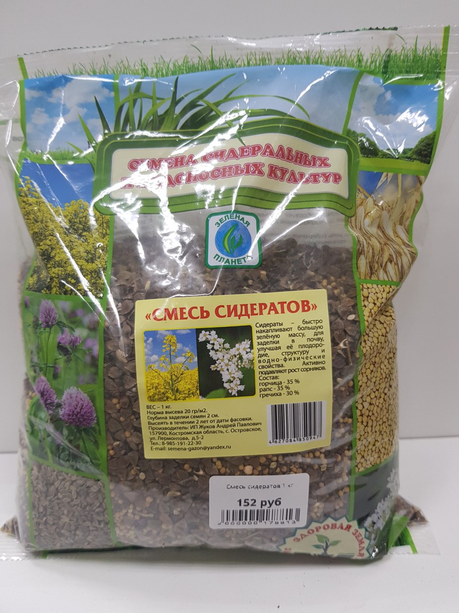 Вика сидерат