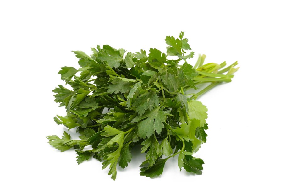 Пряные травы в горшках