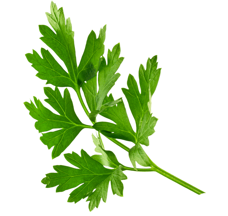 Петрушка хромакей