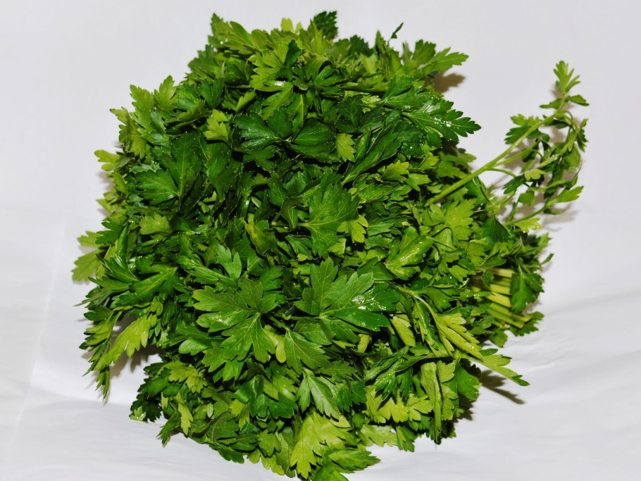Петрушка листовая обыкновенная