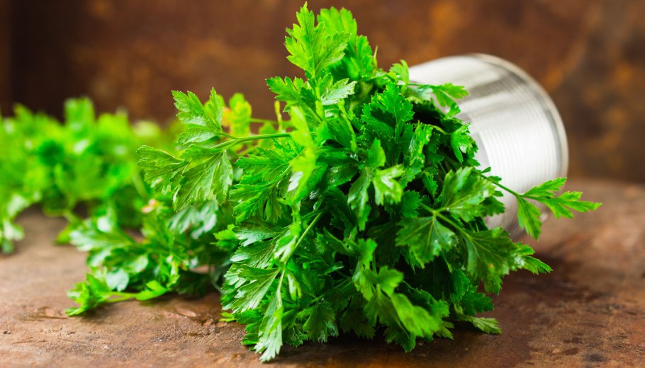 Трава петрушки в аптеке
