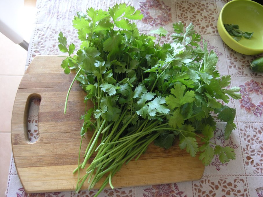 Горная петрушка