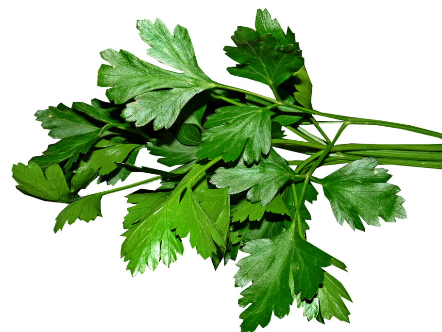 Приснилось много петрушки