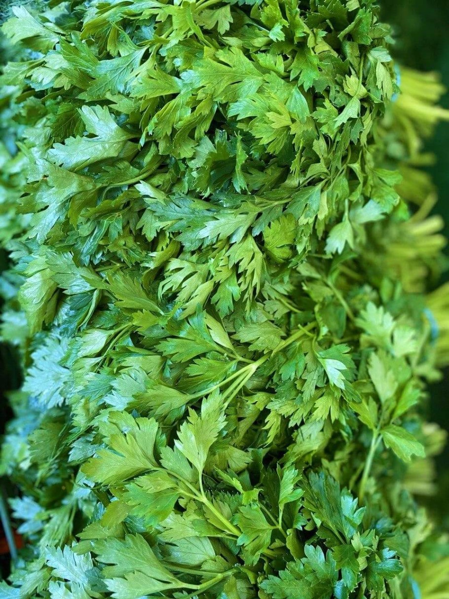 Петрушка фитнес