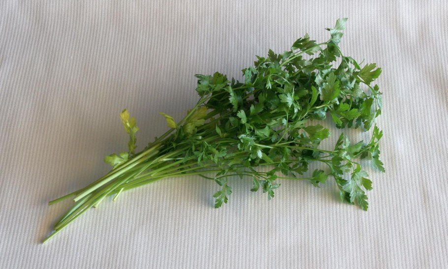 Петрушка реактивный ГТАШНИК