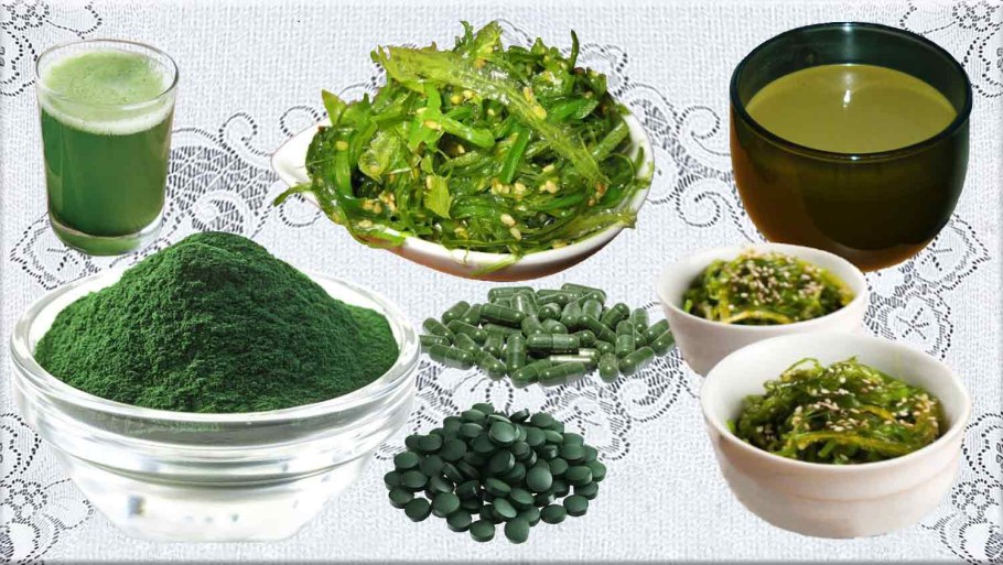 Spirulina таб., 500 шт.
