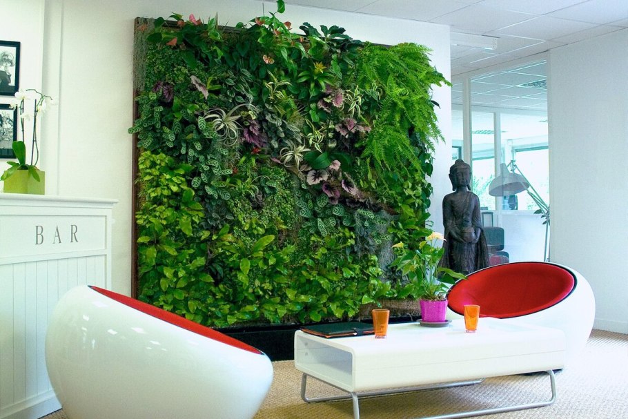 Живой камень, Литопс (Lithops species)