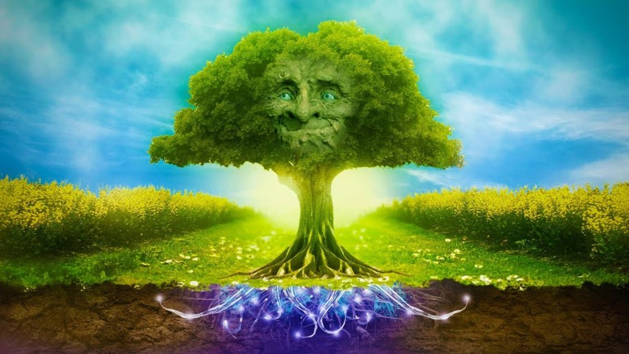 Фигуры из живых растений