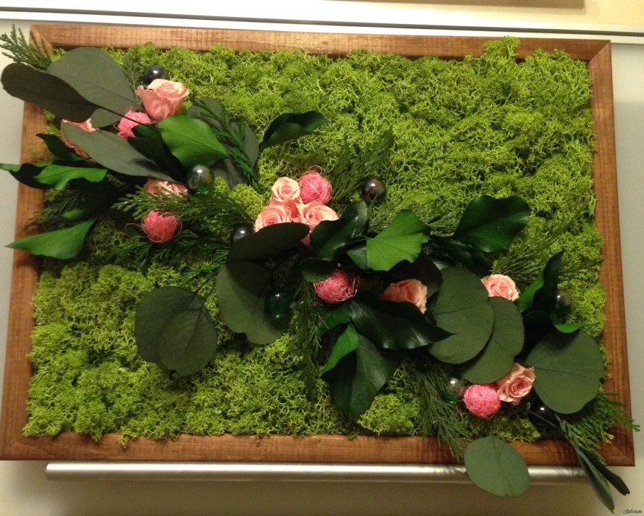 Топиарные кусты