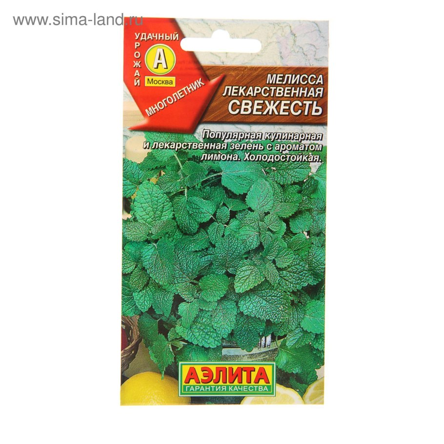 Мелиса Исидора Мелисса лекарственная