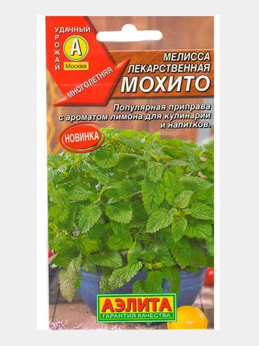 Мелисса лекарственная Исидора