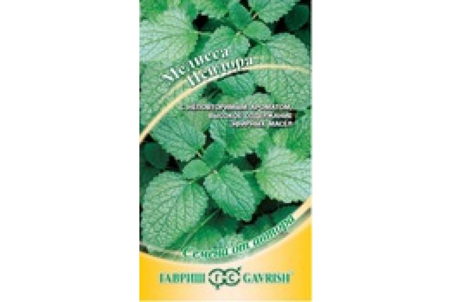 Мелисса балконная