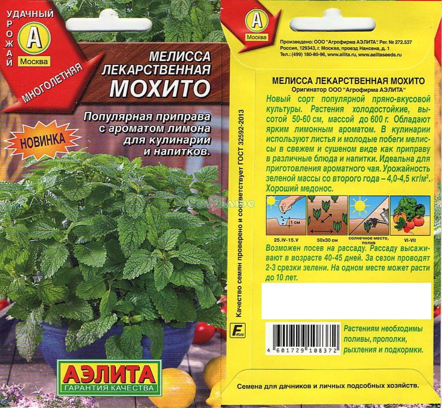 Мелисса лекарственная сладкий сон