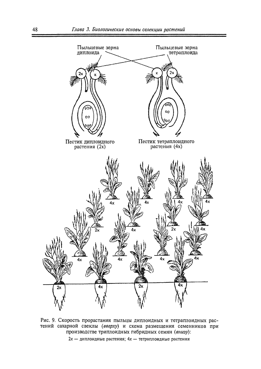 Жизненные формы однодольных и двудольных