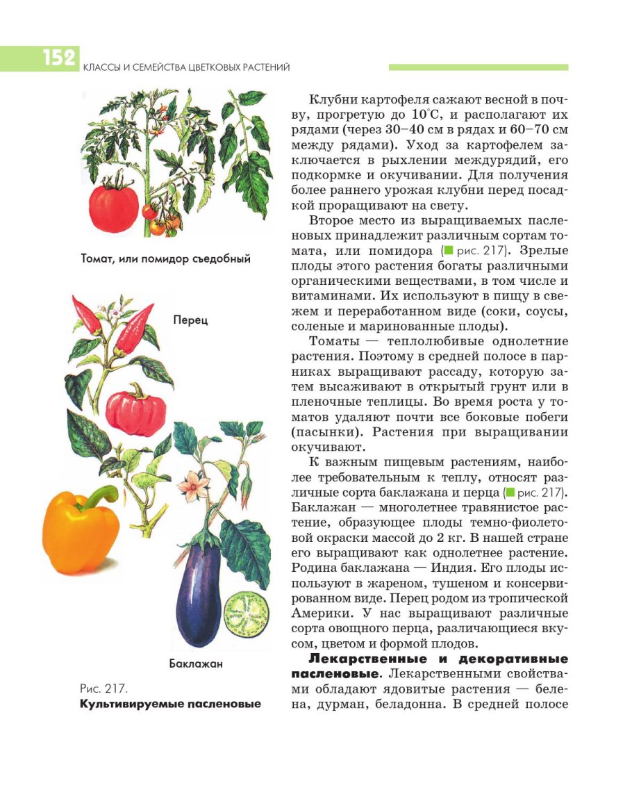 Цикл развития мха Кукушкин лен схема