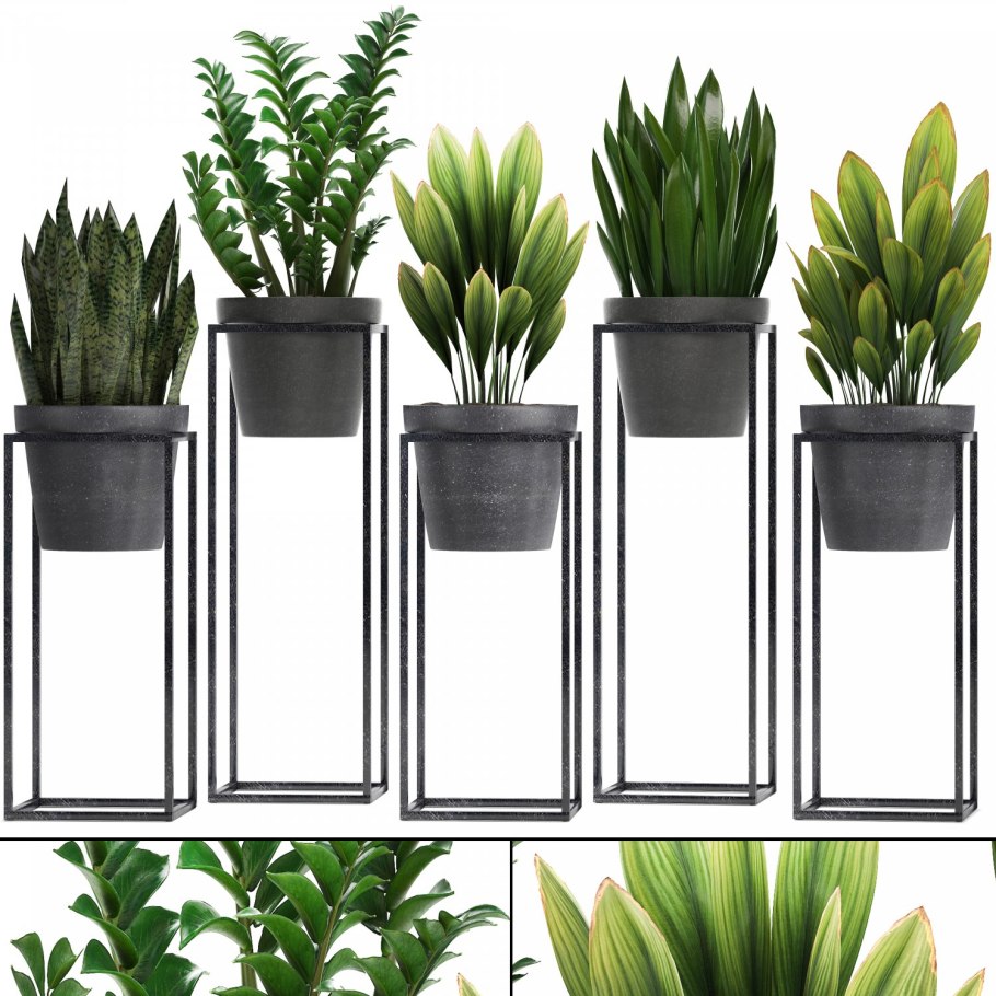 3d Plant model 68 free download